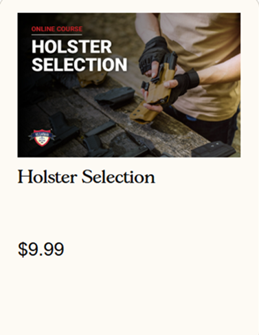 Holster selection icon